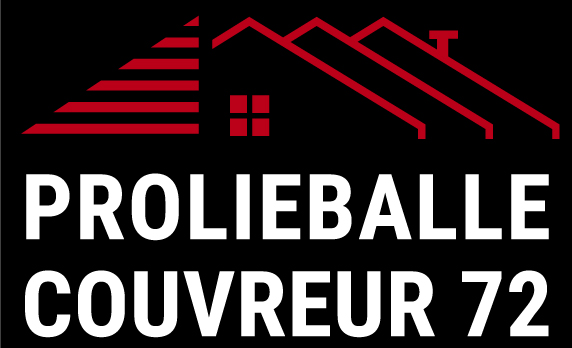 Prolieballe Couvreur 72