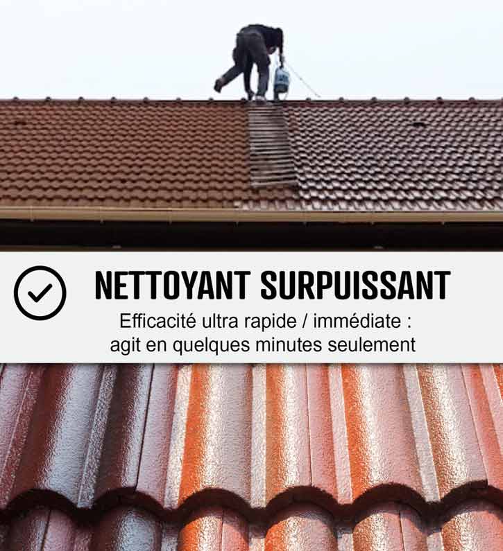 Nettoyage démoussage toiture -  Prolieballe Couvreur 72 dans la Sarthe (72)  : nettoyage, protection anti-mousse toiture. Démoussage. Application d’un revêtement peinture hydrofuge coloré de toit. Artisan couvreur. Intervention dans toute la SARTHE (72)